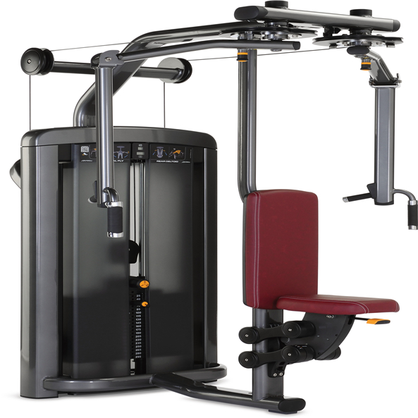 FC2010 Chest and Back Extension Trainer