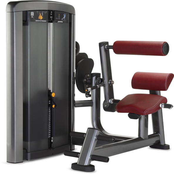 FC2013 Seated Back Muscle Trainer