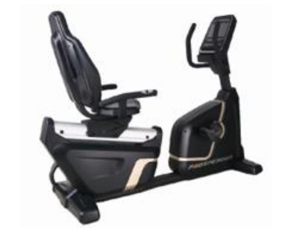 R007 Recumbent Exercise Bike