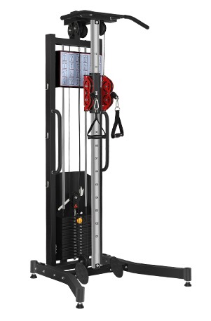 CY unilateral small flying bird